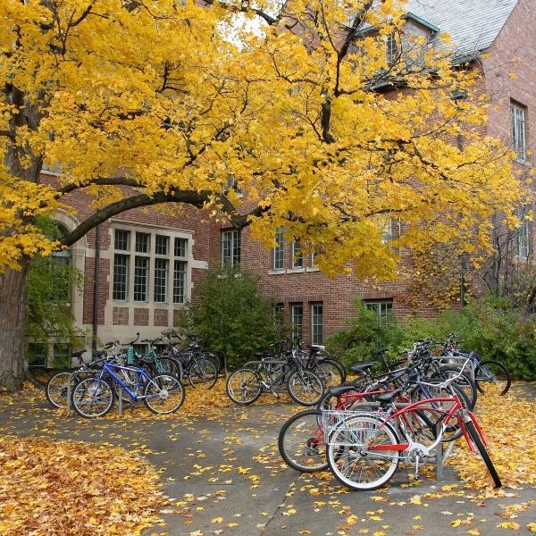 Collge university building.